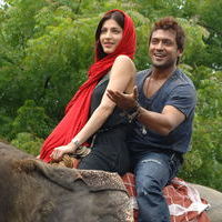 Surya's 7th Sense Movie Stills | Picture 72677